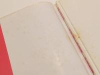 山崎亜美 写真集 少女亜美 撮影：大竹省二 詩：園田恵子 辰巳出版