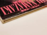 山崎亜美 写真集 少女亜美 撮影：大竹省二 詩：園田恵子 辰巳出版