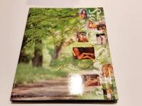 写真集 SWEDEN SEX-TON 2 スウェーデンセクストン2 撮影：会田我路 海王社