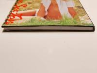 写真集 SWEDEN SEX-TON 2 スウェーデンセクストン2 撮影：会田我路 海王社