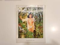 相原真由子 ファースト & ファイナル 写真集 Daydream Doll 撮影 会田我路 海王社 未開封