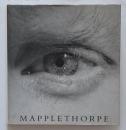 MAPPLETHORPE　（ロバート・メイプルソープ写真集)