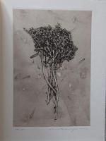中林忠良銅版画集　1961-1992