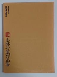 小林斗盦作品集　現代篆刻刻字代表作家作品集成