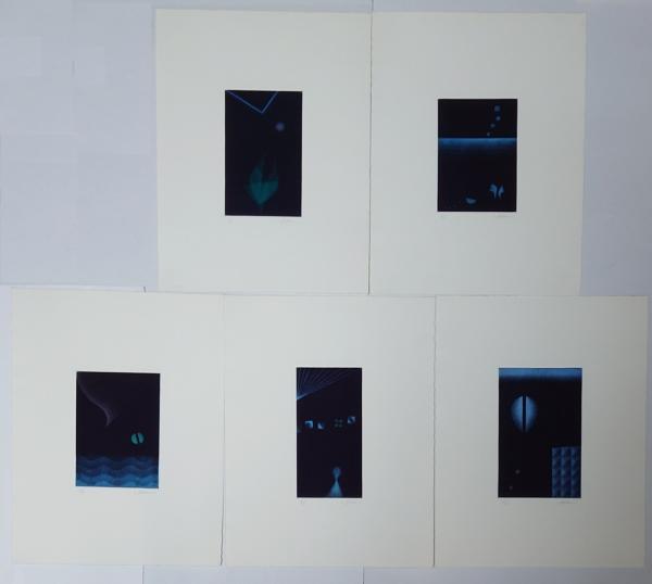 Micro Drama 二見彰一銅版画集(二見彰一) / 古本、中古本、古書籍の 