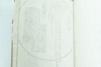 美少年論（同性色情史）