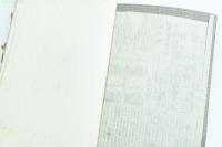 美少年論（同性色情史）