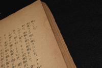 吾輩ハ小猫デアル　難あり