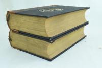 カイヨー夫人之獄 上下巻