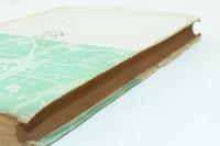 聚落の歴史地理