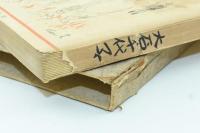 小説 ベンゲット移民