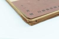 全関西婦人聯合会 第6巻第11号