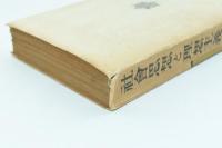 社会思想と理想主義