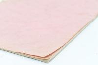 南朝遺墨考証 完 観心寺蔵版