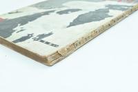 科学画報 第十八巻第七号