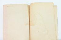 散る花残る花 : 軍隊小説