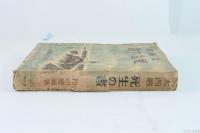 大西郷 死生の書