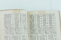 中央亜細亜探検記