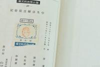 中央亜細亜探検記