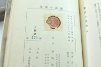 閑談の閑談　上製版