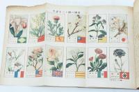 植物園での研究