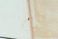 淀稲葉家文書　全