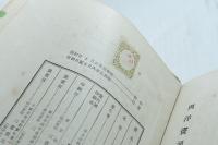 洋画通　通叢書