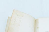 積木の塔　新本格推理小説全集 書き下ろし1　