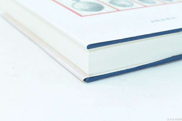 探偵三影潤全集③赤の巻(仁木悦子) / 古本、中古本、古書籍の通販は