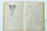 野山の理科研究　小国民理科の研究叢書