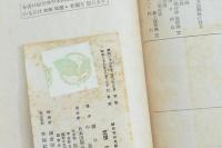 神風特別攻撃隊