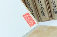 昆虫記 全10冊揃