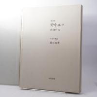 彷徨引力 野中ユリ作品集