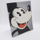 Mickey Mouse: The Evolution, The Legend, The Phenomenon!
