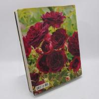 The Rose 薔薇の写真集