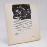 The Photographic Art: Pictorial Traditions in Britain and America