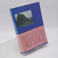 丹生神社と丹生氏の研究 : 伊都国王の盛衰と丹生氏の出自についての一考察