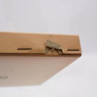 ジョン・ロックとその先駆者たち : イギリス寛容論研究序説