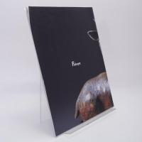 語りかける土塊 陶・今井眞正展