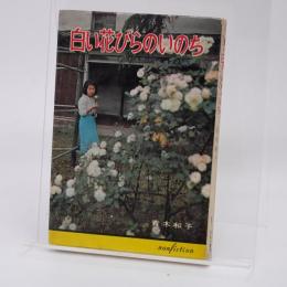 白い花びらのいのち