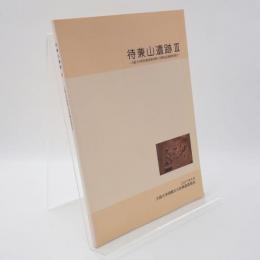 待兼山遺跡