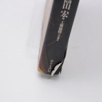 黒に染める : 本朝ピクチャレスク事始め