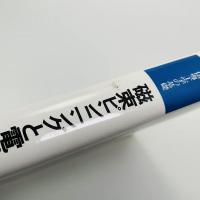 磁束ピンニングと電磁現象