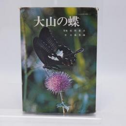 大山の蝶