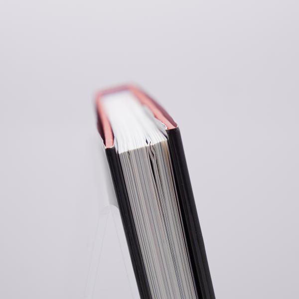 痴虫 : 佐伯俊男作品集(佐伯俊男 著) / 古書 牛歩 / 古本、中古