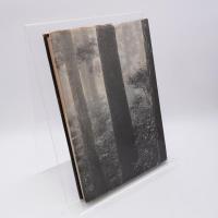 魚梁瀬千本山保護林