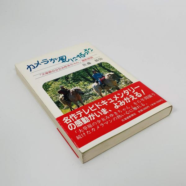セカンド・シフト : アメリカ共働き革命のいま 第二の勤務