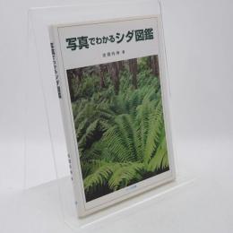 写真でわかるシダ図鑑