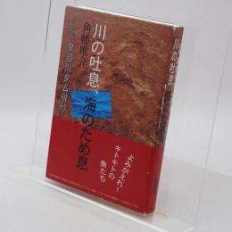 川の吐息、海のため息 : ルポ黒部川ダム排砂