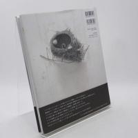 写実考 : Gustavo ISOE's Works : 1974-2007